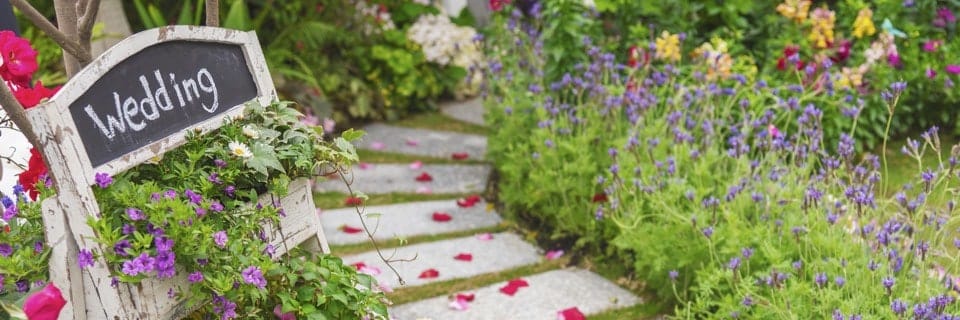 Nicely flowered garden with a path winding round