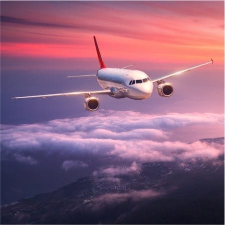 Plane flying through sky