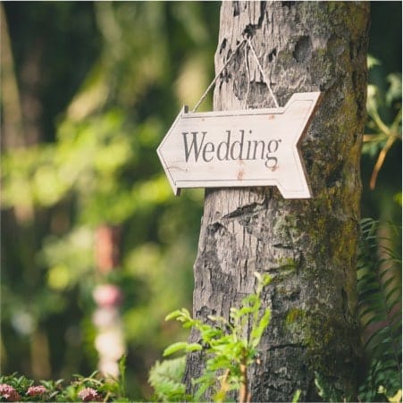 Woodland with large tree that has a wedding sign on