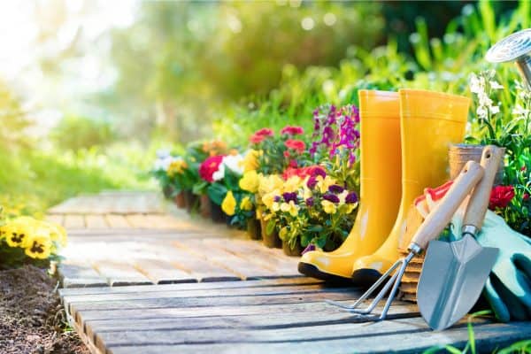Garden hacks for the budget conscious