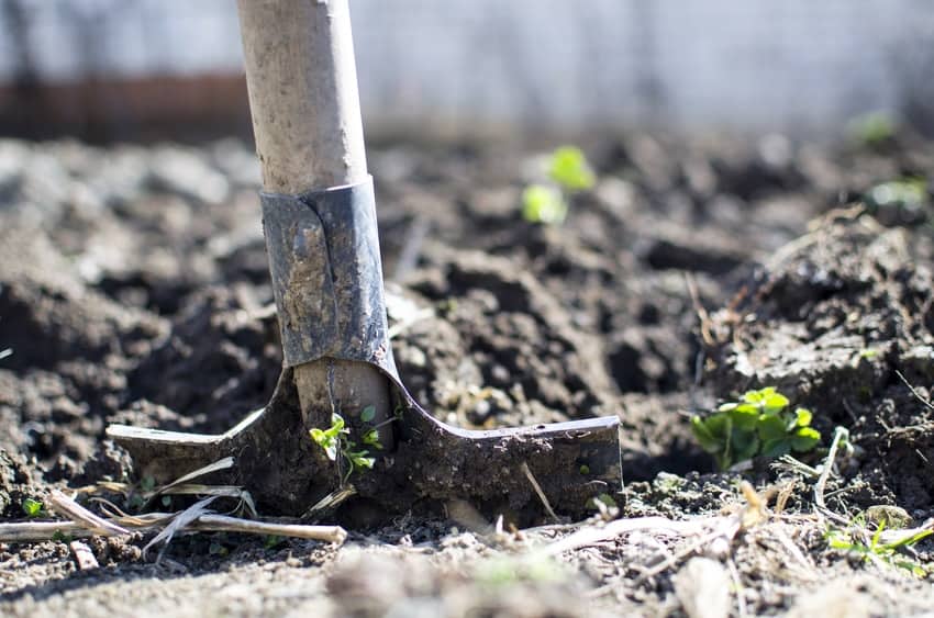 Gardening with compost