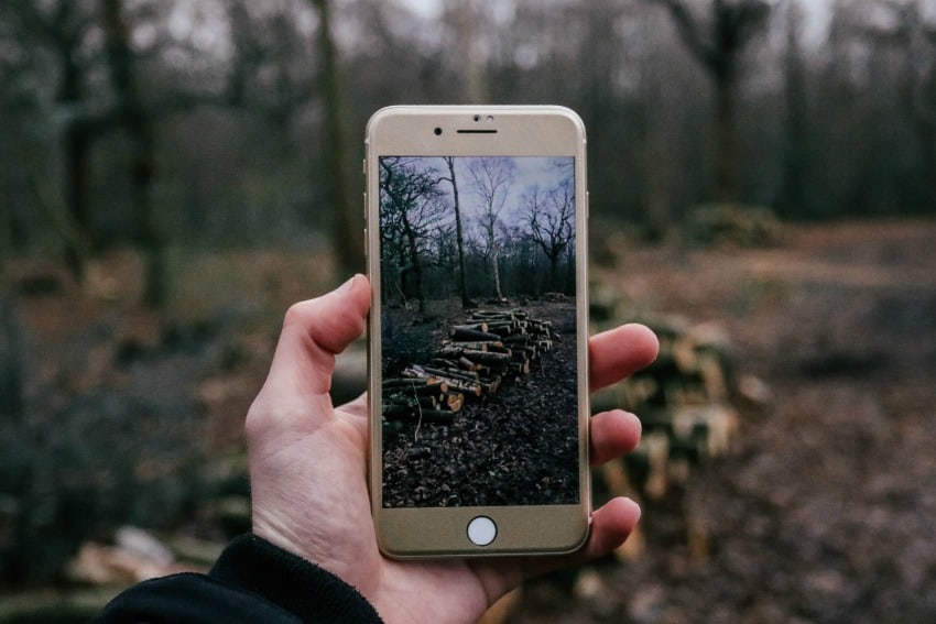 Image of someone taking photo of logs