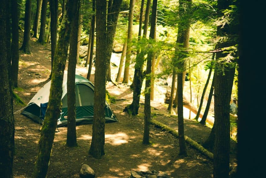 wild camping in the woods