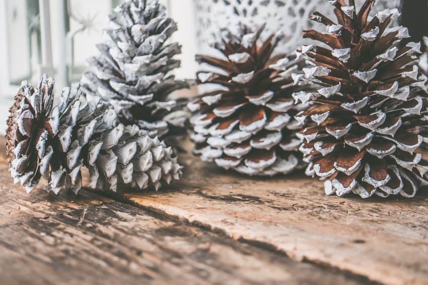 pine cone centrepiece diy christmas decorations