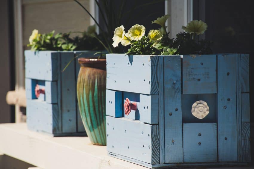 upcycling flower pots planters
